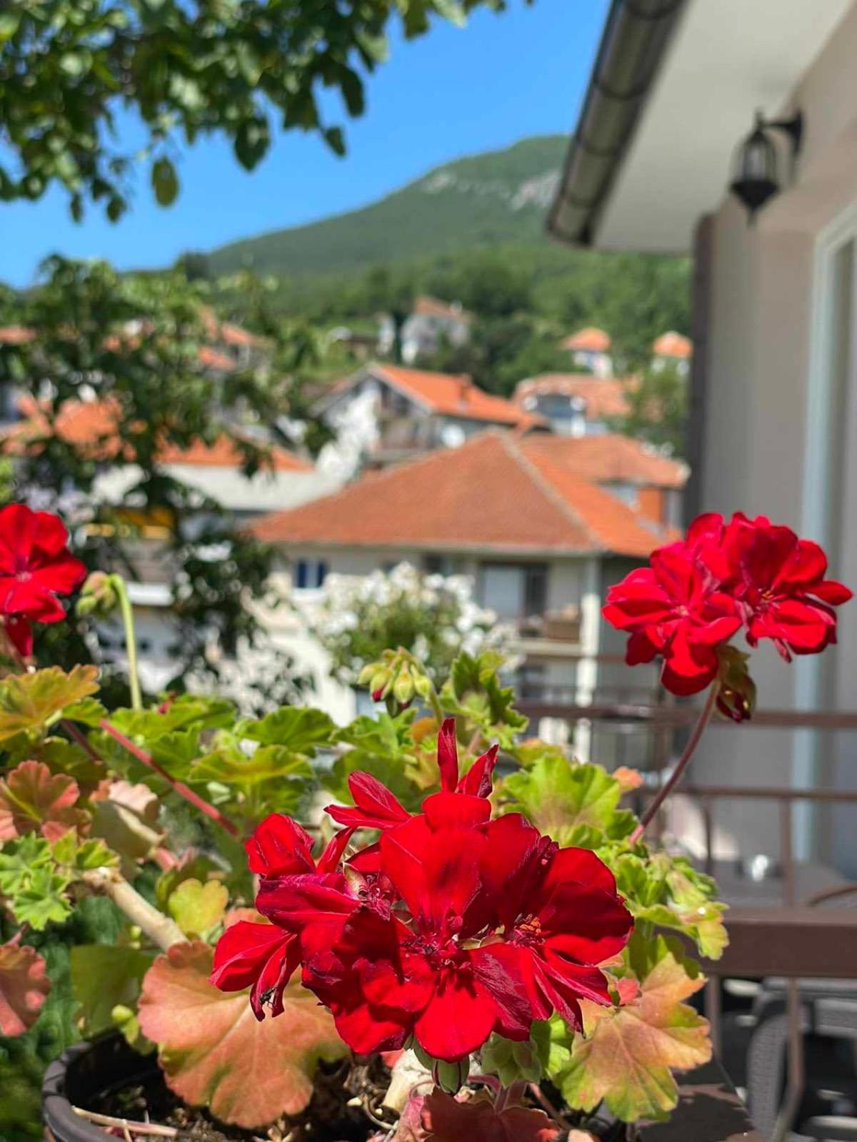 Gopo Guesthouse Elshani 외부 사진
