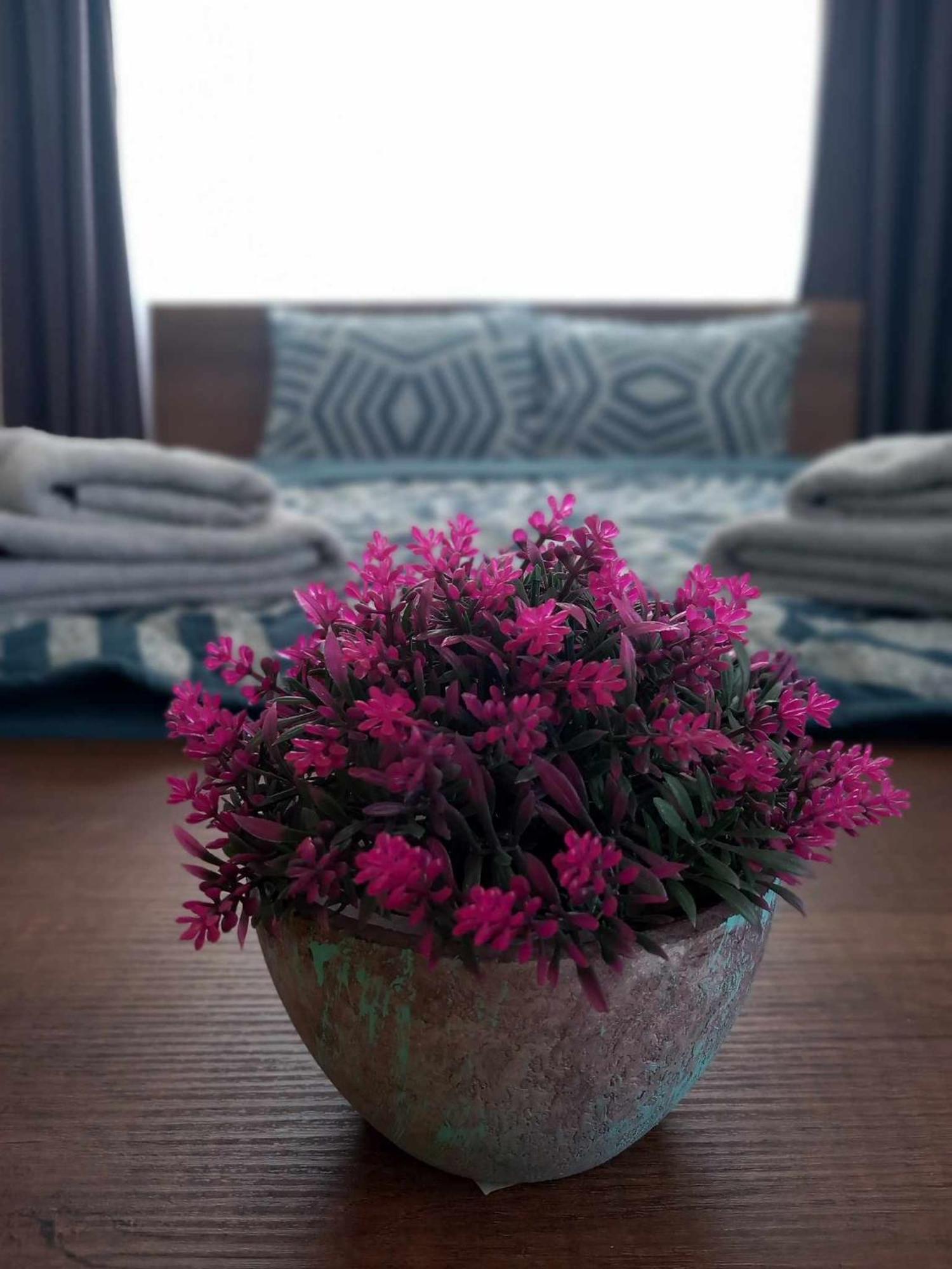 Gopo Guesthouse Elshani 외부 사진