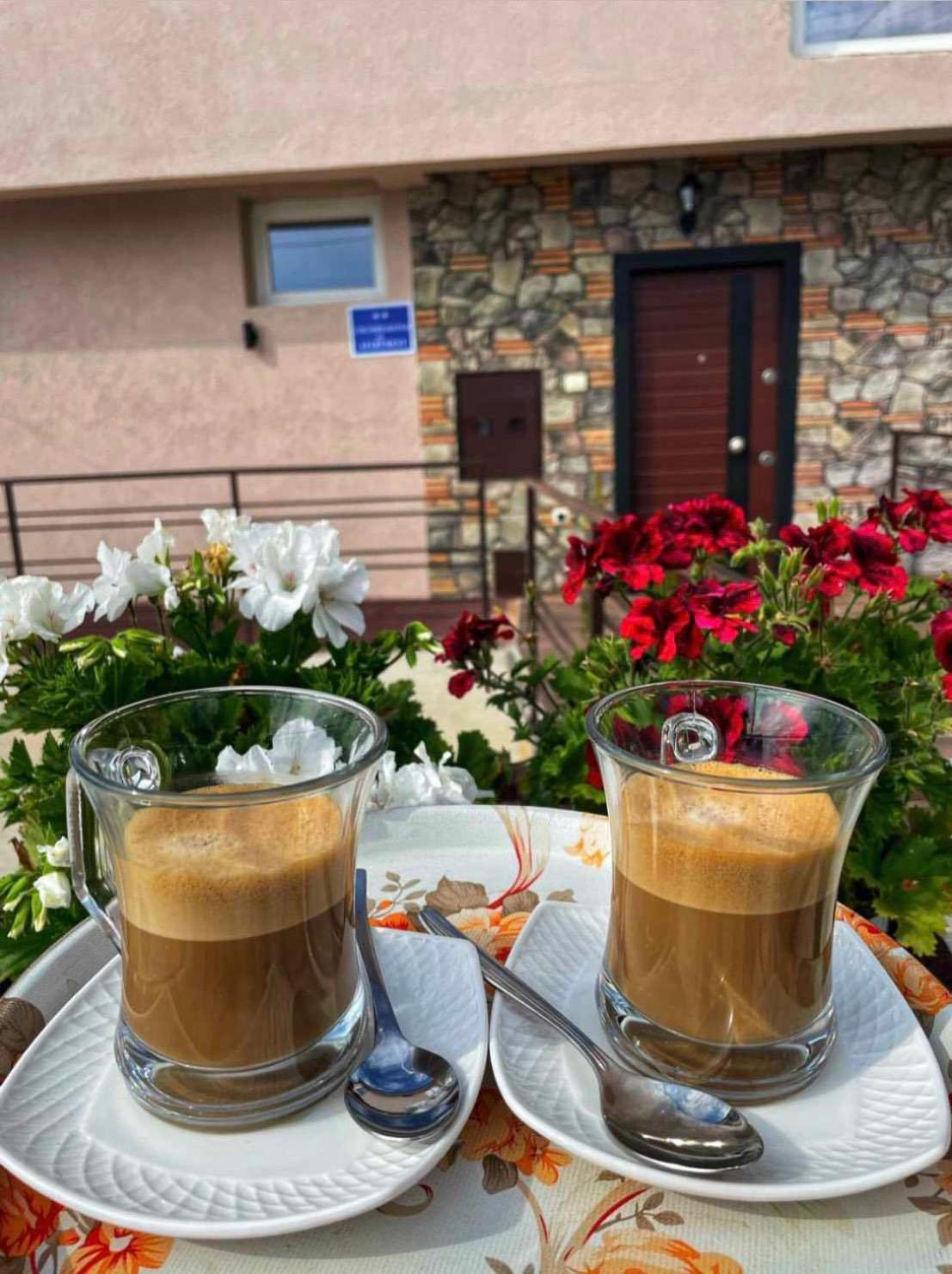 Gopo Guesthouse Elshani 외부 사진