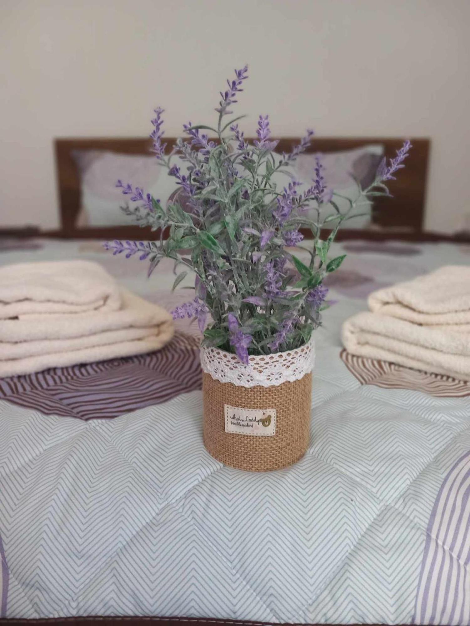 Gopo Guesthouse Elshani 외부 사진