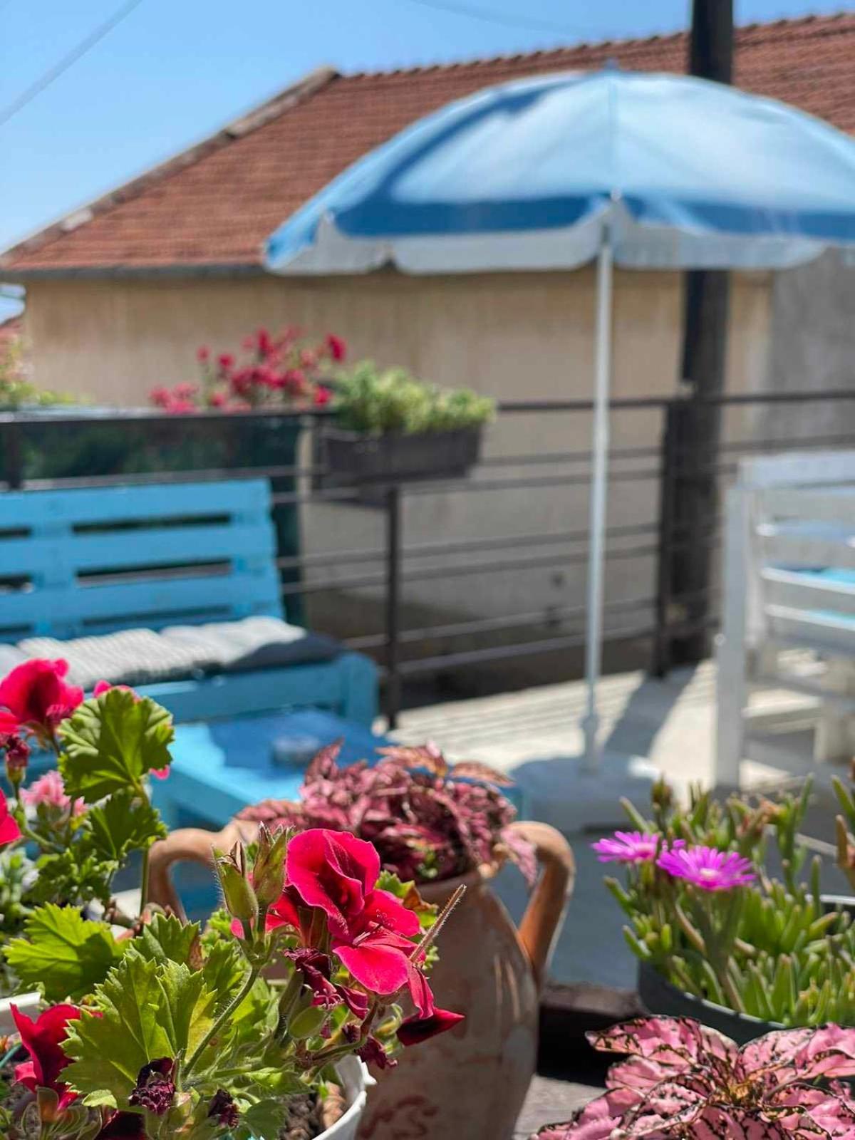 Gopo Guesthouse Elshani 외부 사진
